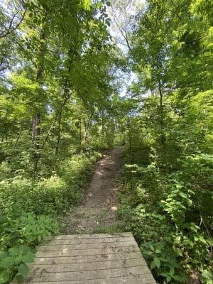 Phipps Prairie Park