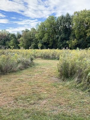 Phipps Prairie Park