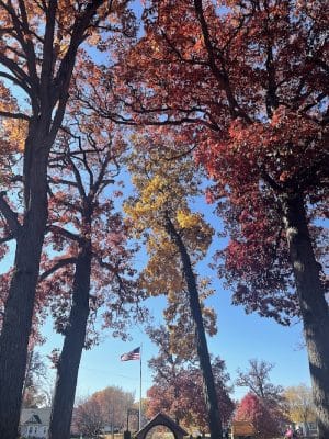 Schadt Park