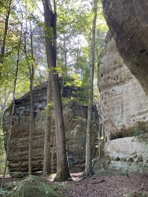Jackson Falls - Simpson, IL