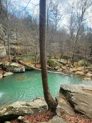 Jackson Falls - Simpson, IL