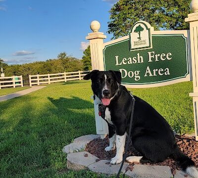 Dog Park - Skillman, NJ
