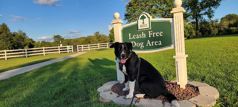 Dog Park - Skillman, NJ