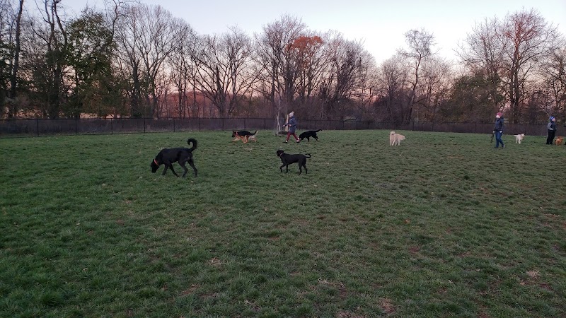 Dog Park - Skillman, NJ