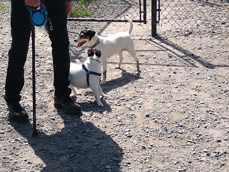 Town of Bethel Dog Park - Smallwood, NY