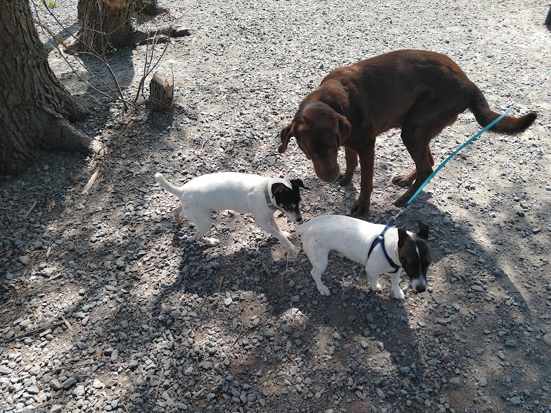Town of Bethel Dog Park - Smallwood, NY