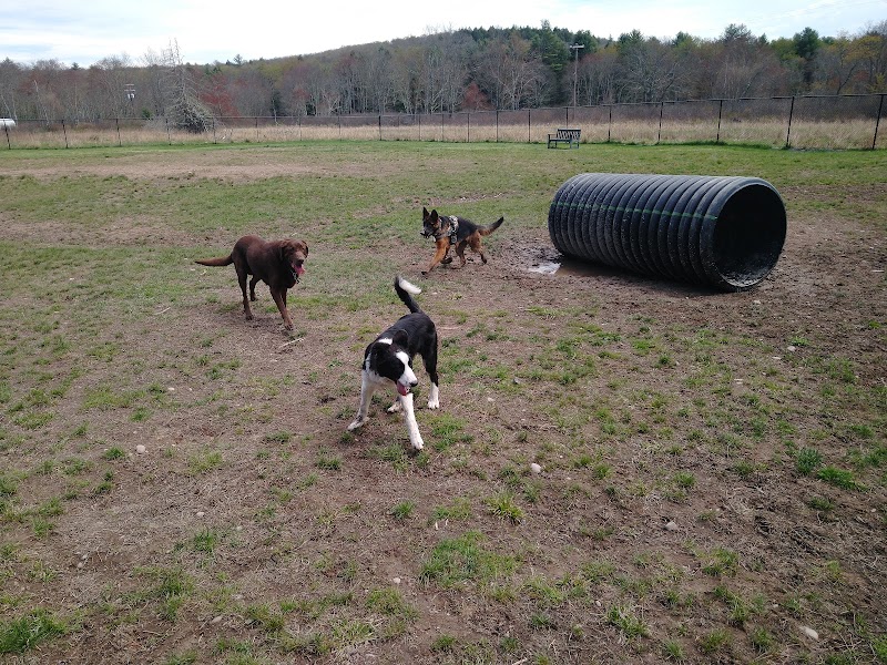 Town of Bethel Dog Park - Smallwood, NY