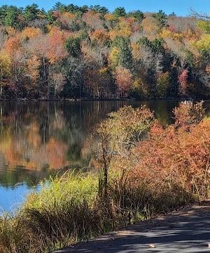 Town of Bethel Dog Park - Smallwood, NY