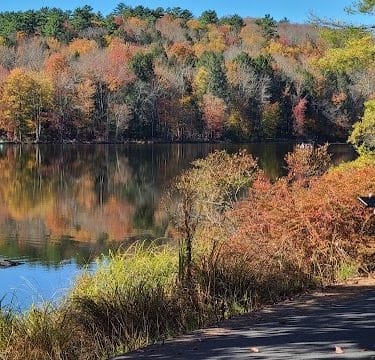 Town of Bethel Dog Park - Smallwood, NY