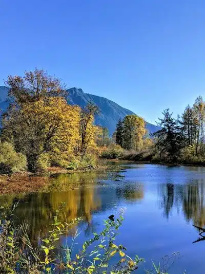 Three Forks Off-Leash Dog Park - Snoqualmie, WA