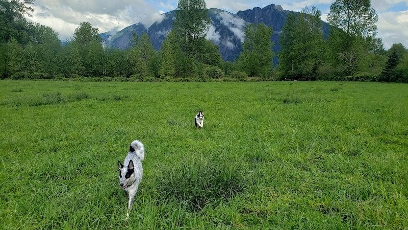 Three Forks Off-Leash Dog Park - Snoqualmie, WA