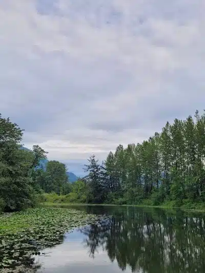 Three Forks Off-Leash Dog Park - Snoqualmie, WA