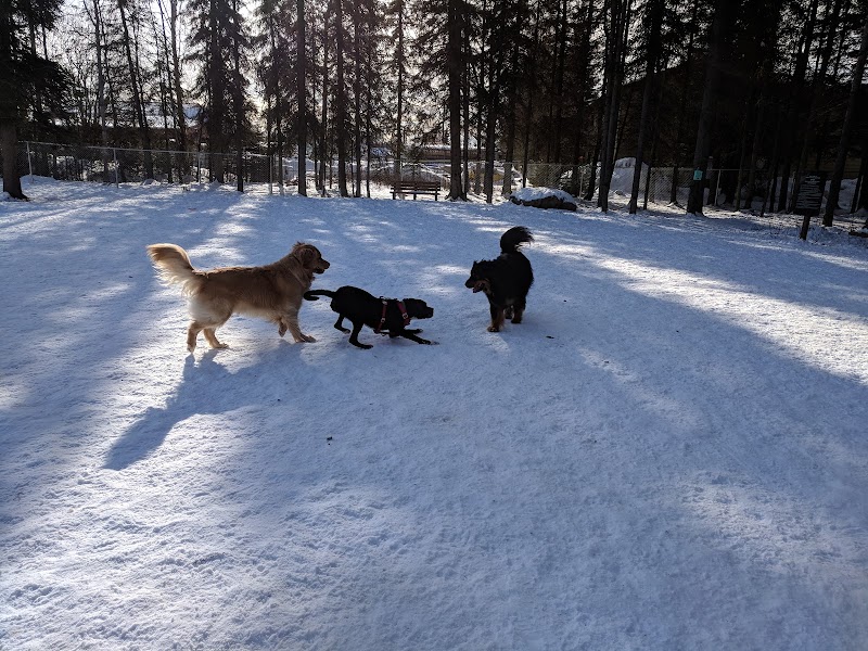 3 Friends Dog Park - Soldotna, AK