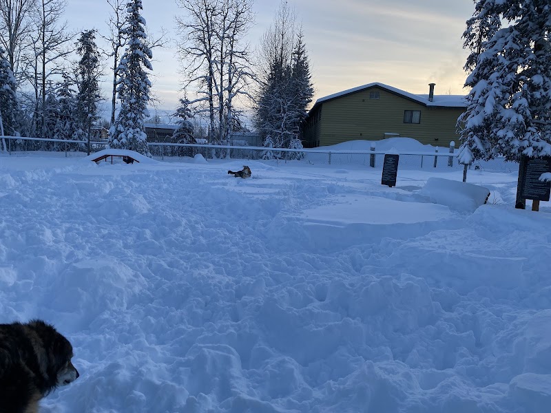 3 Friends Dog Park - Soldotna, AK