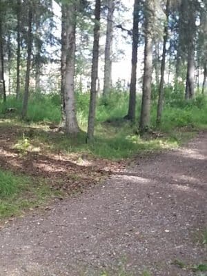 3 Friends Dog Park