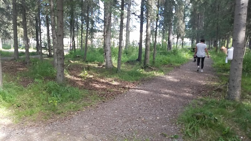 3 Friends Dog Park - Soldotna, AK