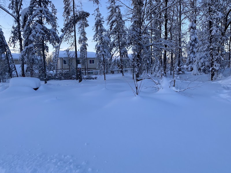 3 Friends Dog Park - Soldotna, AK