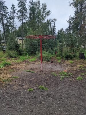 3 Friends Dog Park