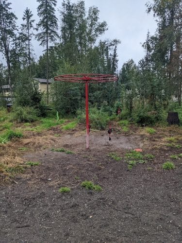 3 Friends Dog Park