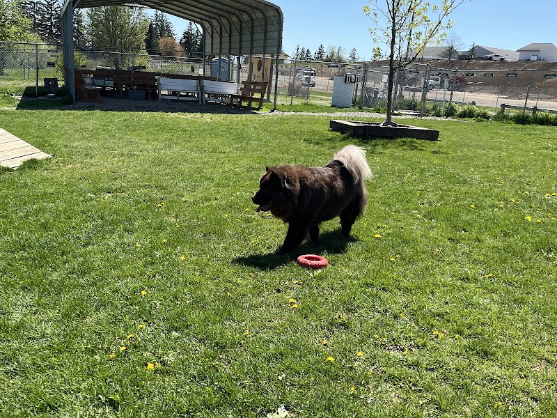 Jager and Friends Dog Park - Somerset, PA