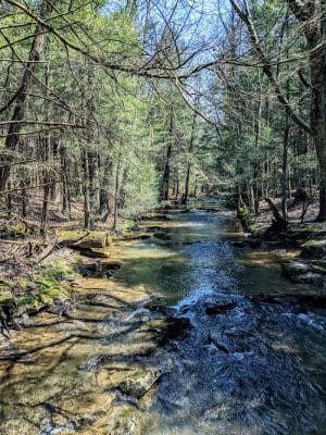Kimberly Run Natural Area