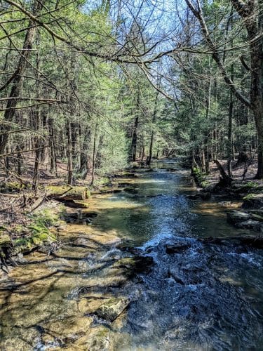 Kimberly Run Natural Area