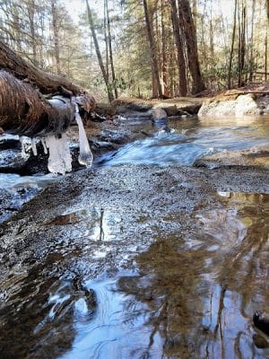 Kimberly Run Natural Area