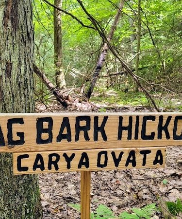 Kimberly Run Natural Area
