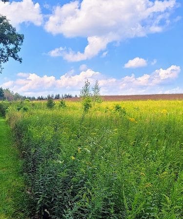 Kimberly Run Natural Area