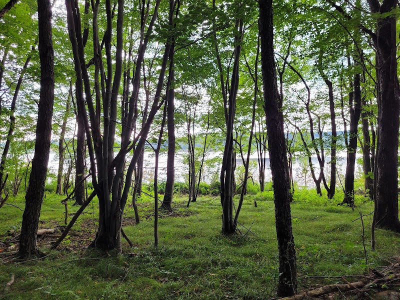 Somerset Lake Nature Park - Somerset, PA