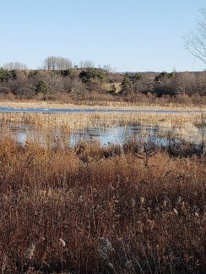 Somerset Lake Nature Park