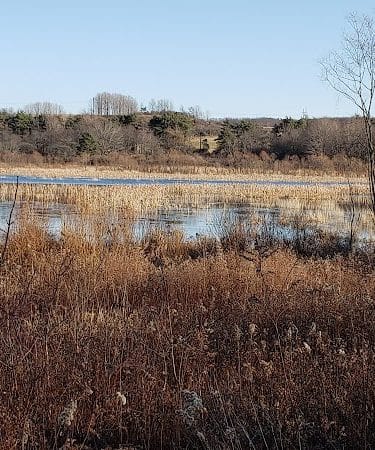 Somerset Lake Nature Park
