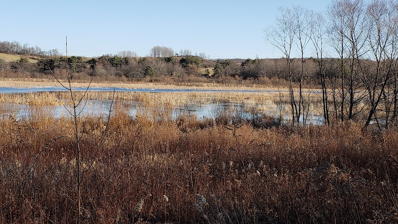 Somerset Lake Nature Park - Somerset, PA