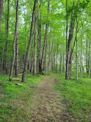 Somerset Lake Nature Park