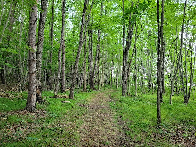 Somerset Lake Nature Park - Somerset, PA