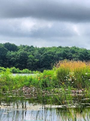Somerset Lake Nature Park