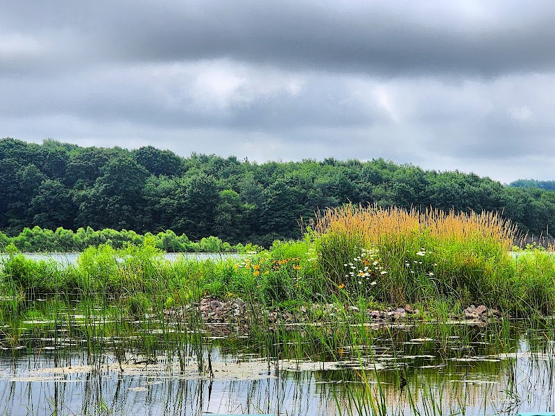 Somerset Lake Nature Park - Somerset, PA