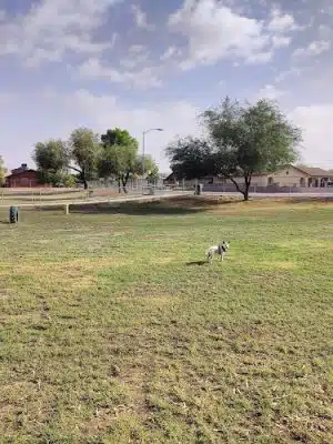 Los Perritos Park