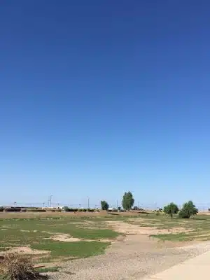 Perricone Park