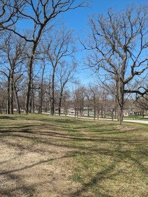 Rum Village Dog Park