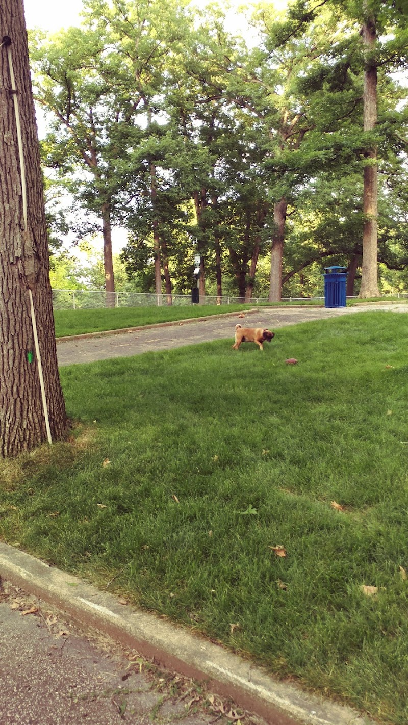 Rum Village Dog Park - South Bend, IN