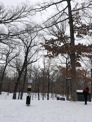 Rum Village Dog Park