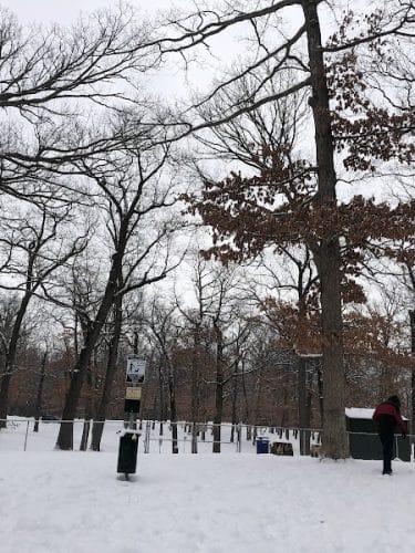 Rum Village Dog Park