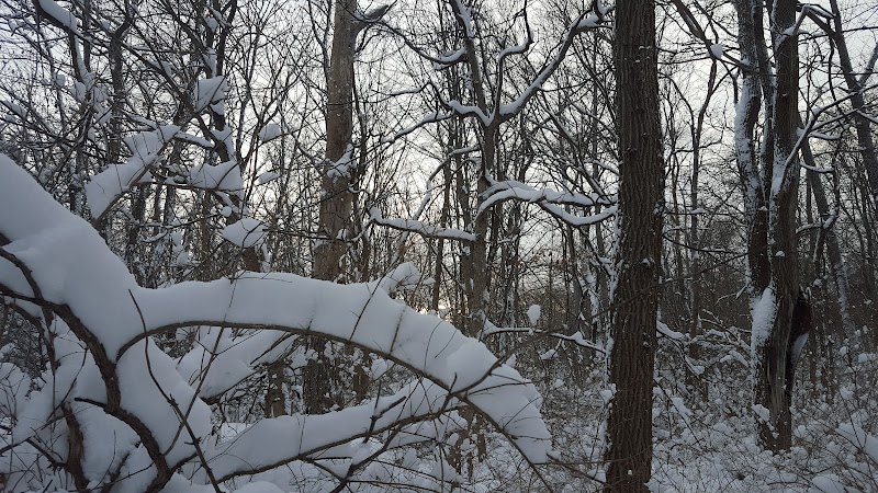 South Bethlehem Park - South Bethlehem, NY