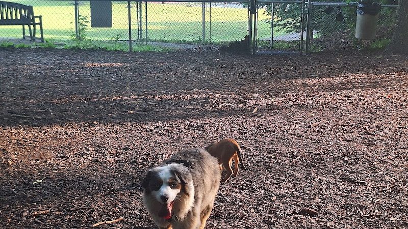 Joplin Dog Park - South Charleston, WV