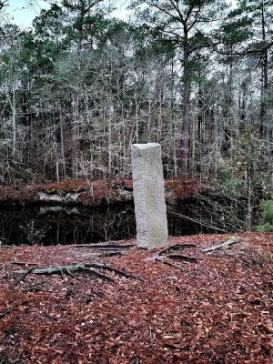Dismal Swamp Trail