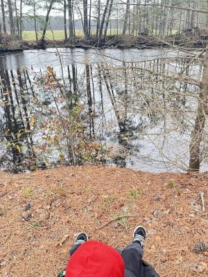 Dismal Swamp Trail