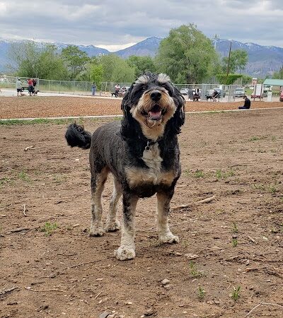 South Ogden Dog Park - South Ogden, UT