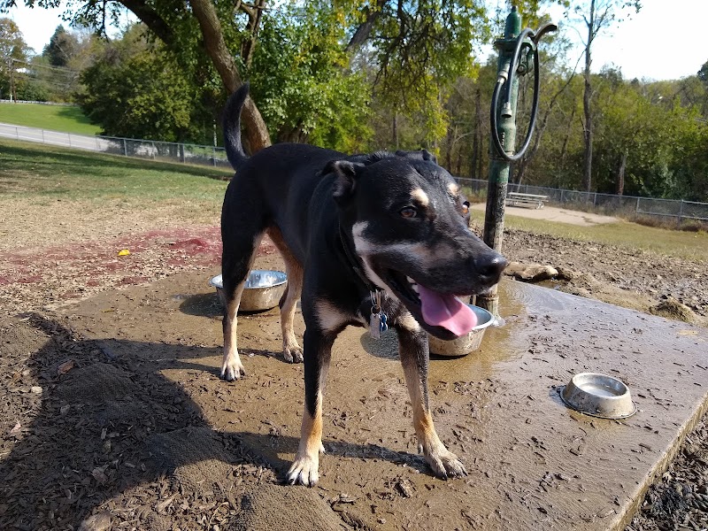 South Park Dog Park #2 - South Park Township, PA