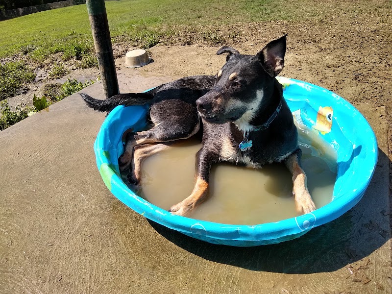 South Park Dog Park #2 - South Park Township, PA